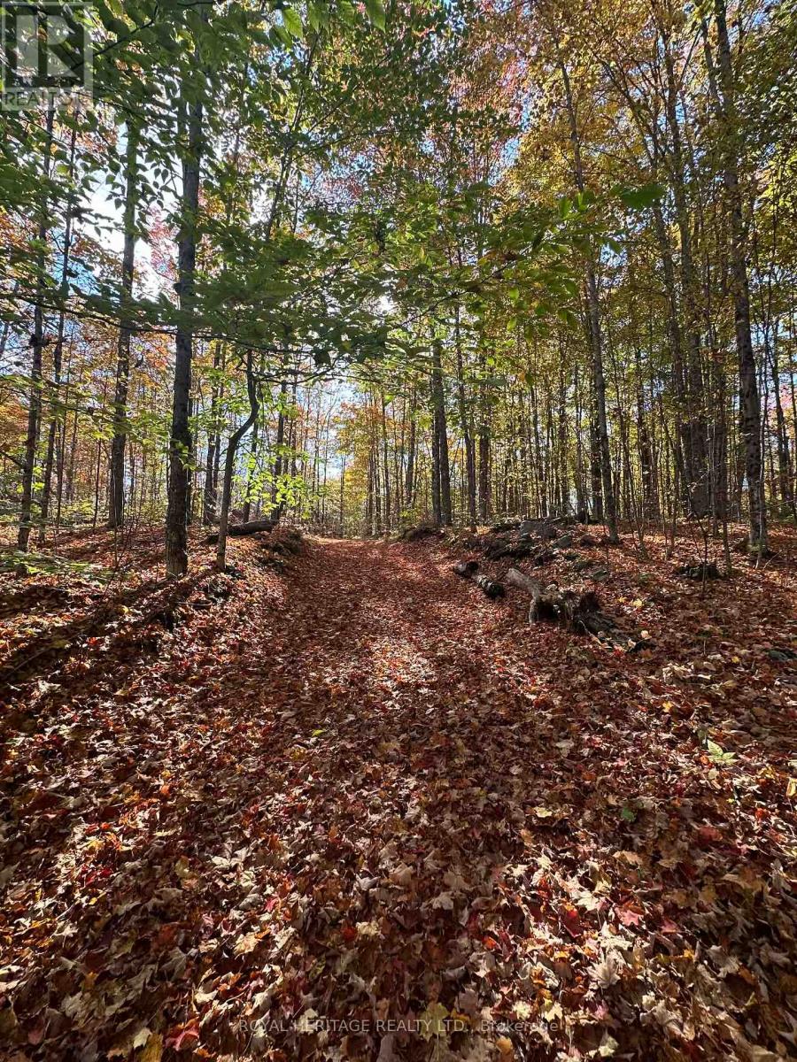 1702 County Rd 40, Douro-Dummer, Ontario  K0L 2V0 - Photo 38 - X12983320