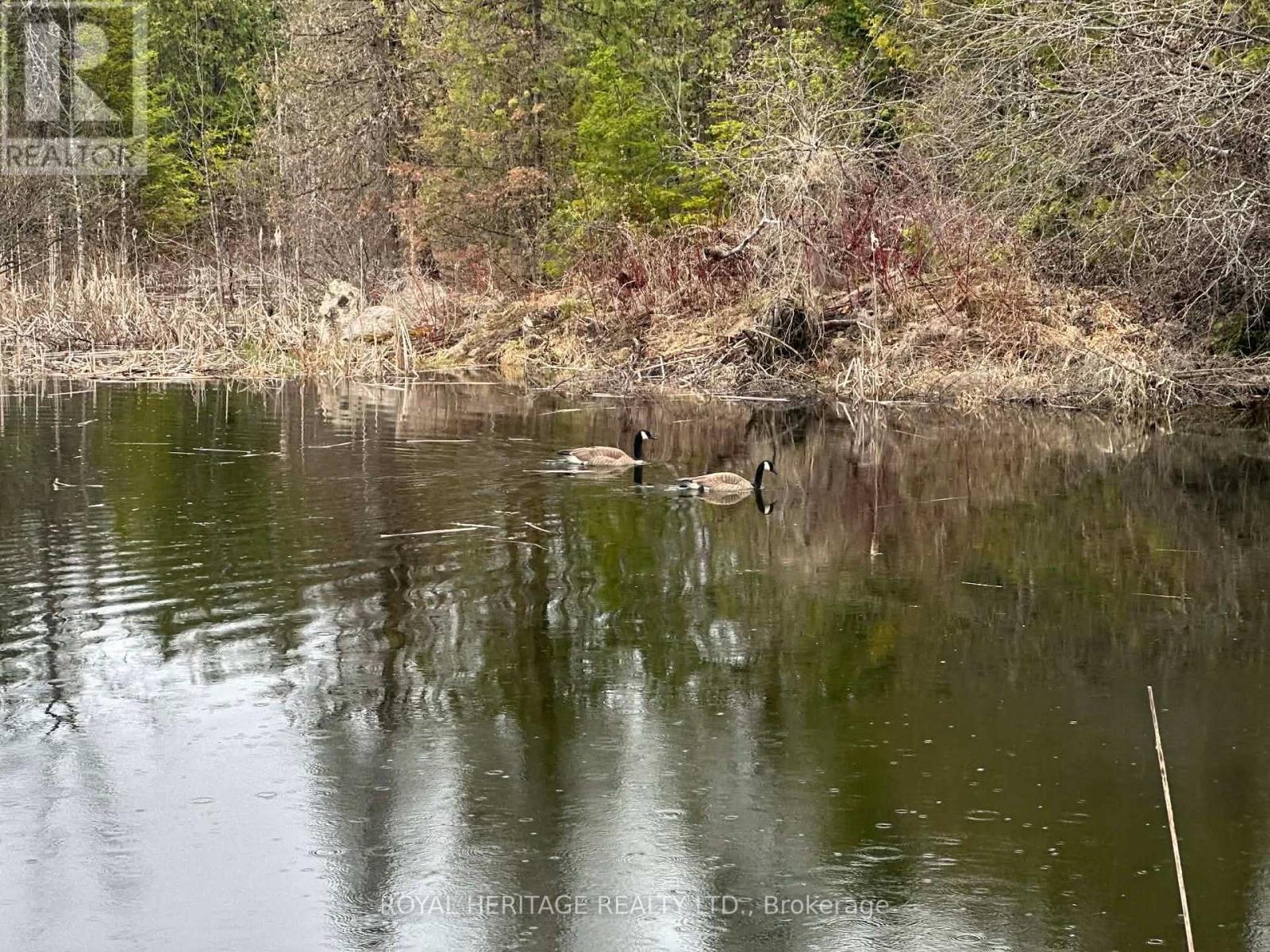 1702 County Rd 40, Douro-Dummer, Ontario  K0L 2V0 - Photo 39 - X12983320