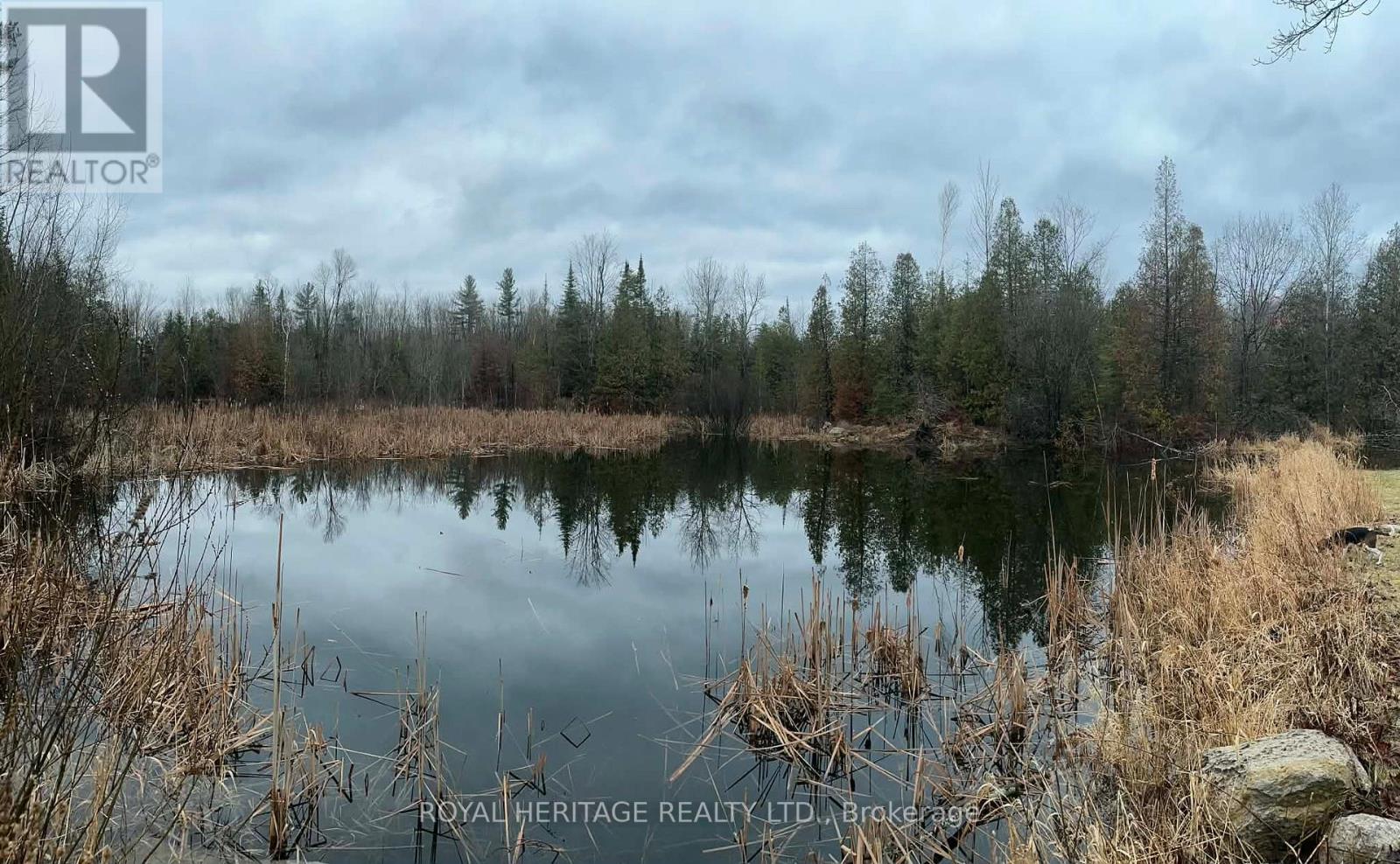 1702 County Rd 40, Douro-Dummer, Ontario  K0L 2V0 - Photo 40 - X12983320