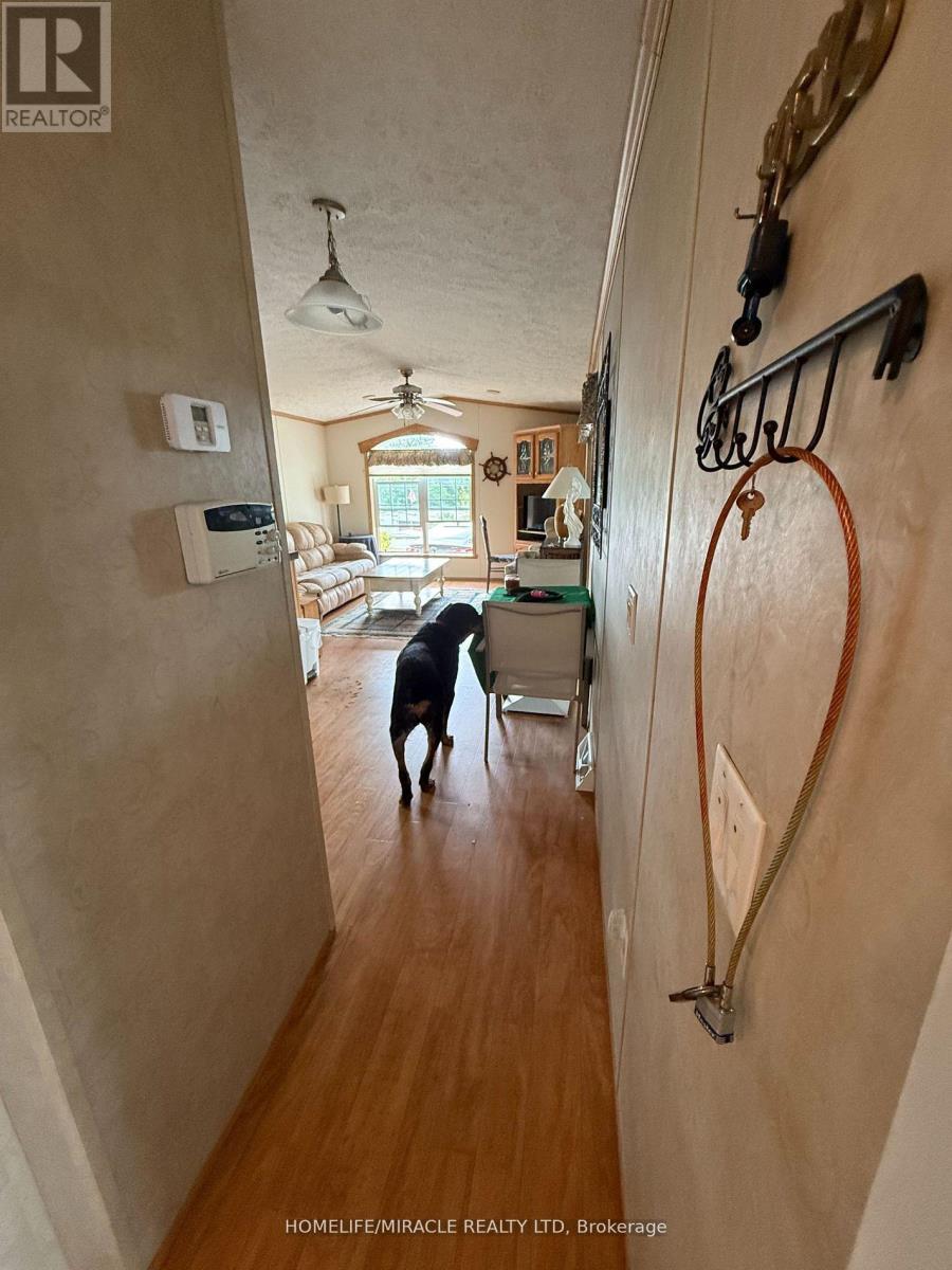 11 Grandview Drive, Peterborough (Otonabee Ward 1), Ontario  K0L 2G0 - Photo 5 - X12983624