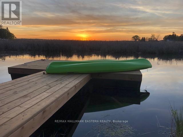 50 Birch Point Drive, Kawartha Lakes (Emily), Ontario  K0L 1T0 - Photo 35 - X12984658