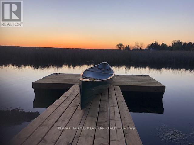 50 Birch Point Drive, Kawartha Lakes (Emily), Ontario  K0L 1T0 - Photo 6 - X12984658