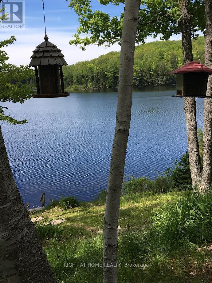 47 Bentley Lake Place, Faraday, Ontario  K0L 1C0 - Photo 4 - X12985902