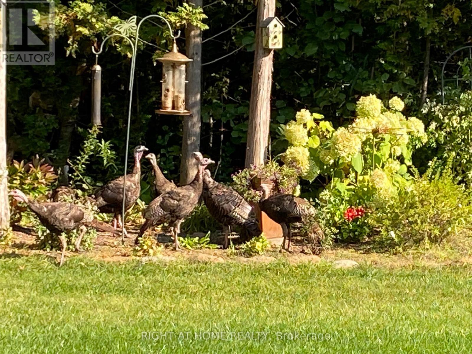 216 Mount Horeb Road, Kawartha Lakes (Ops), Ontario  K9V 4R4 - Photo 43 - X12986712