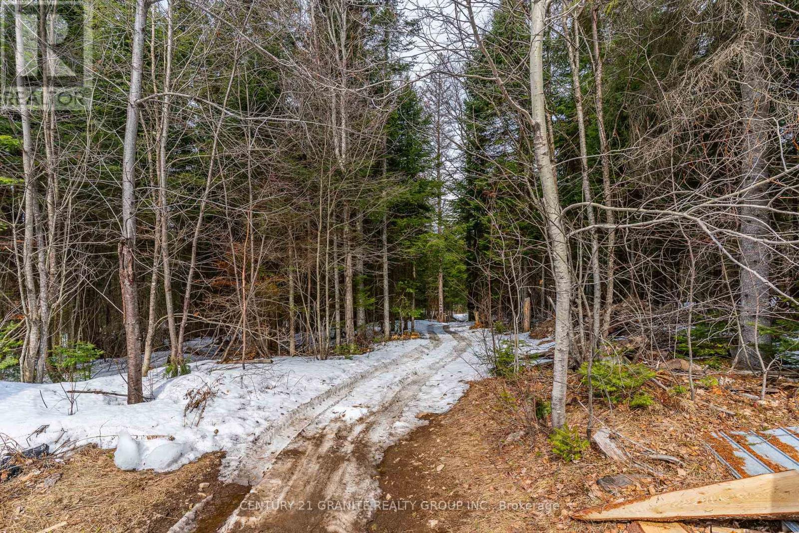 818 Williams Lake Road, Hastings Highlands (Mcclure Ward), Ontario  K0L 1C0 - Photo 37 - X12986806