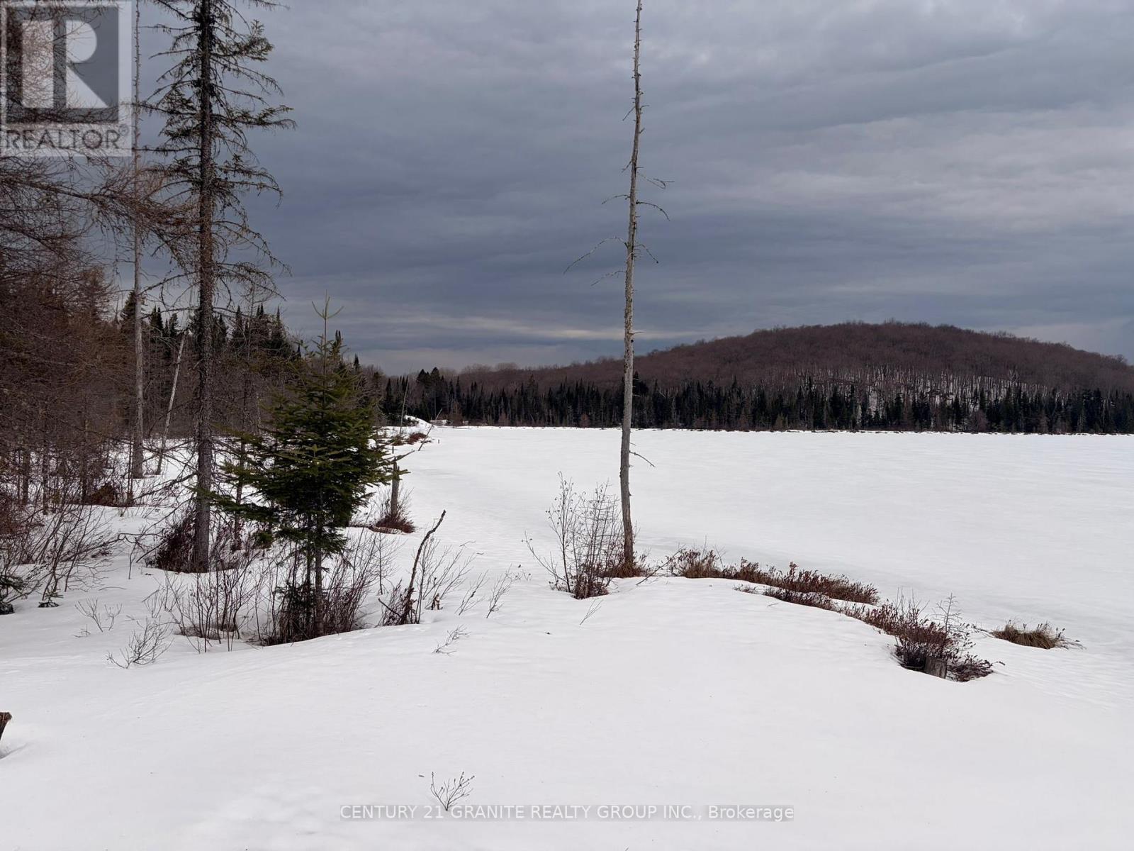 818 Williams Lake Road, Hastings Highlands (Mcclure Ward), Ontario  K0L 1C0 - Photo 46 - X12986806