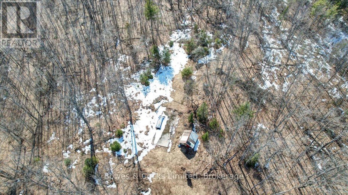 2981 County Road 44, Havelock-Belmont-Methuen (Belmont-Methuen), Ontario  K0L 1Z0 - Photo 5 - X12991522