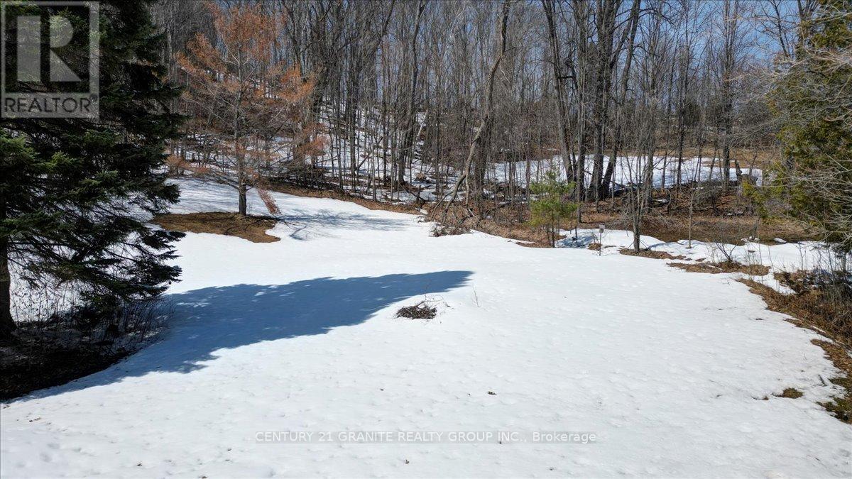 237 Maxwell Settlement Road, Bancroft (Bancroft Ward), Ontario  K0L 1C0 - Photo 47 - X12992120