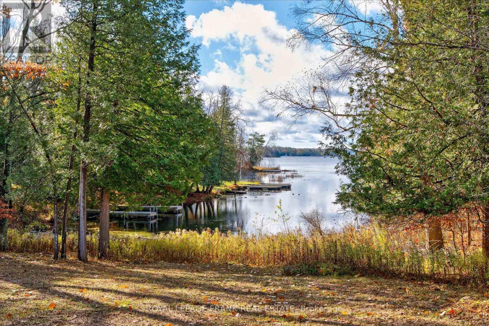 299 Fire Route 10a, North Kawartha, Ontario  K0L 3G0 - Photo 4 - X12995100