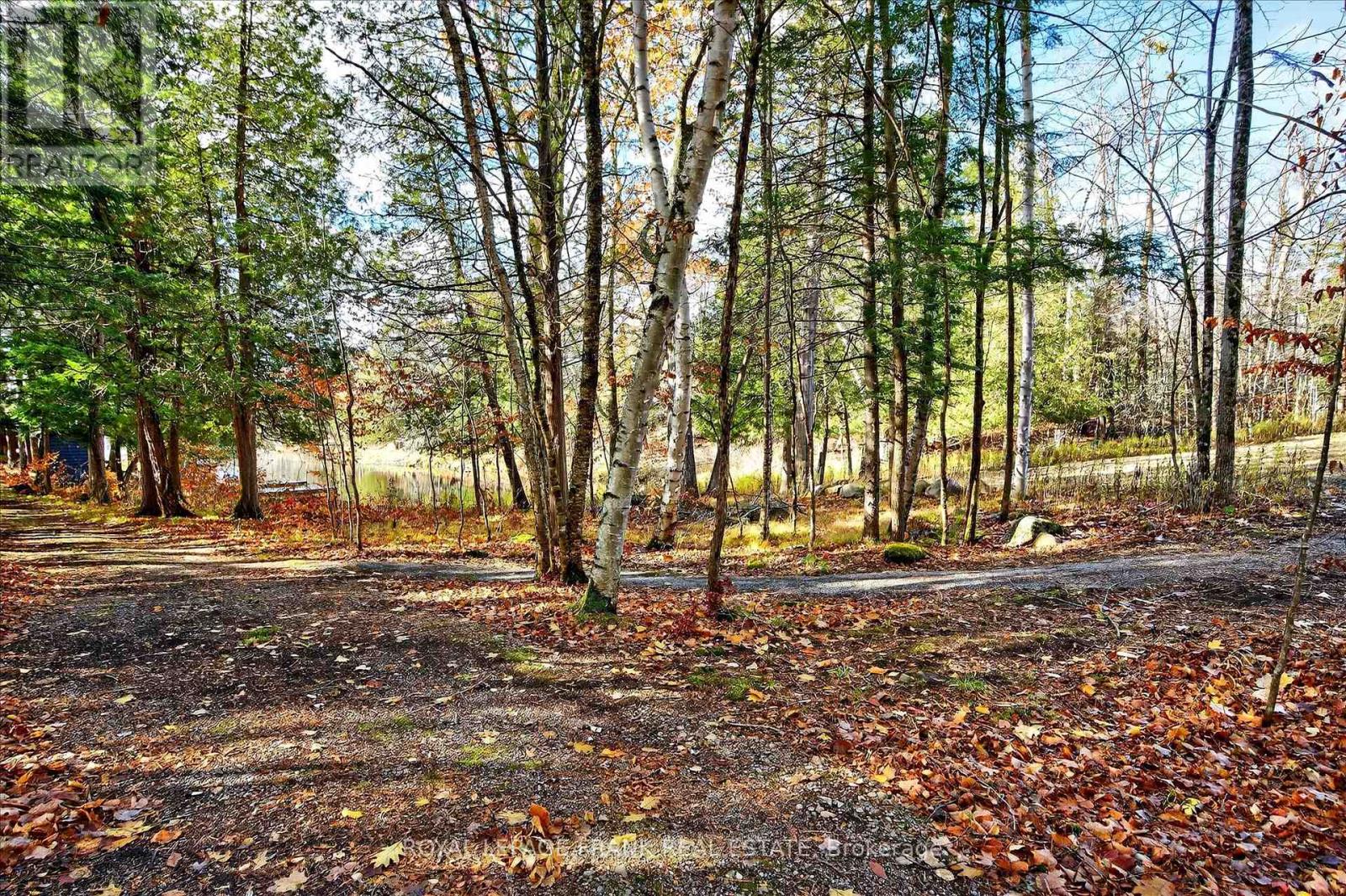 299 Fire Route 10a, North Kawartha, Ontario  K0L 3G0 - Photo 42 - X12995100