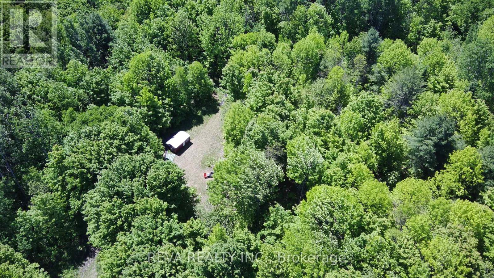 1476 Hillsview Road, Hastings Highlands (Monteagle Ward), Ontario  K0L 2R0 - Photo 38 - X12995388