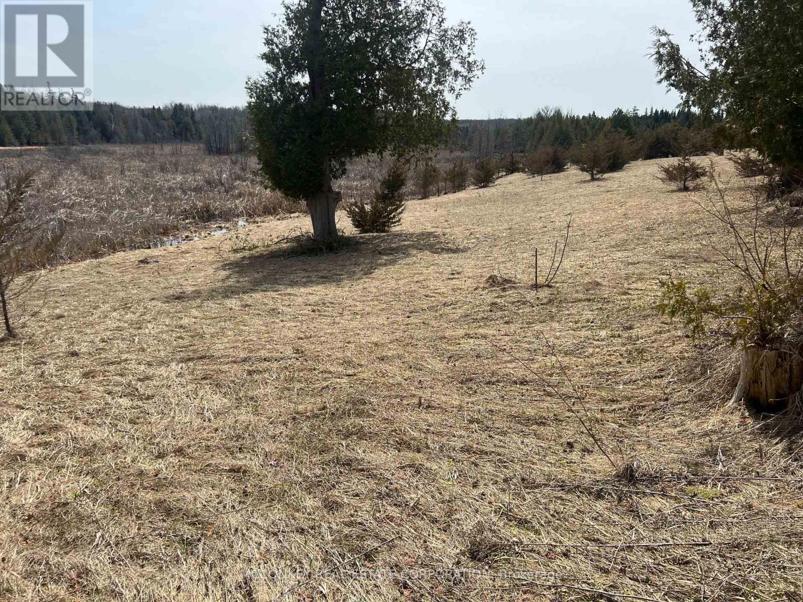 00 Concession Road 13 E, Trent Hills, Ontario  K0L 1Y0 - Photo 4 - X12995864