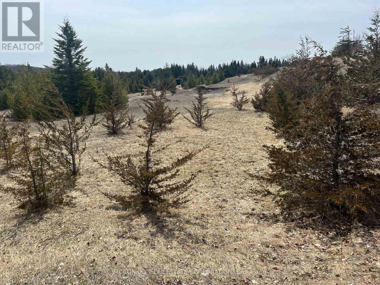 00 Concession Road 13 E, Trent Hills, Ontario  K0L 1Y0 - Photo 6 - X12995864