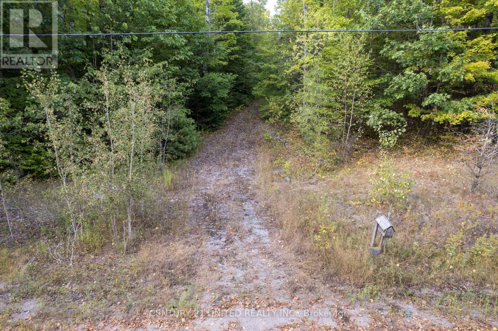 23 Rusaw Road, North Kawartha, Ontario  K0L 1A0 - Photo 10 - X12996342