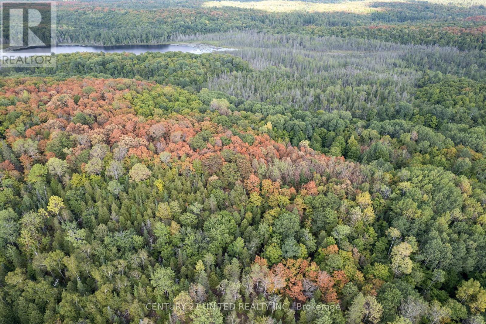 23 Rusaw Road, North Kawartha, Ontario  K0L 1A0 - Photo 12 - X12996342