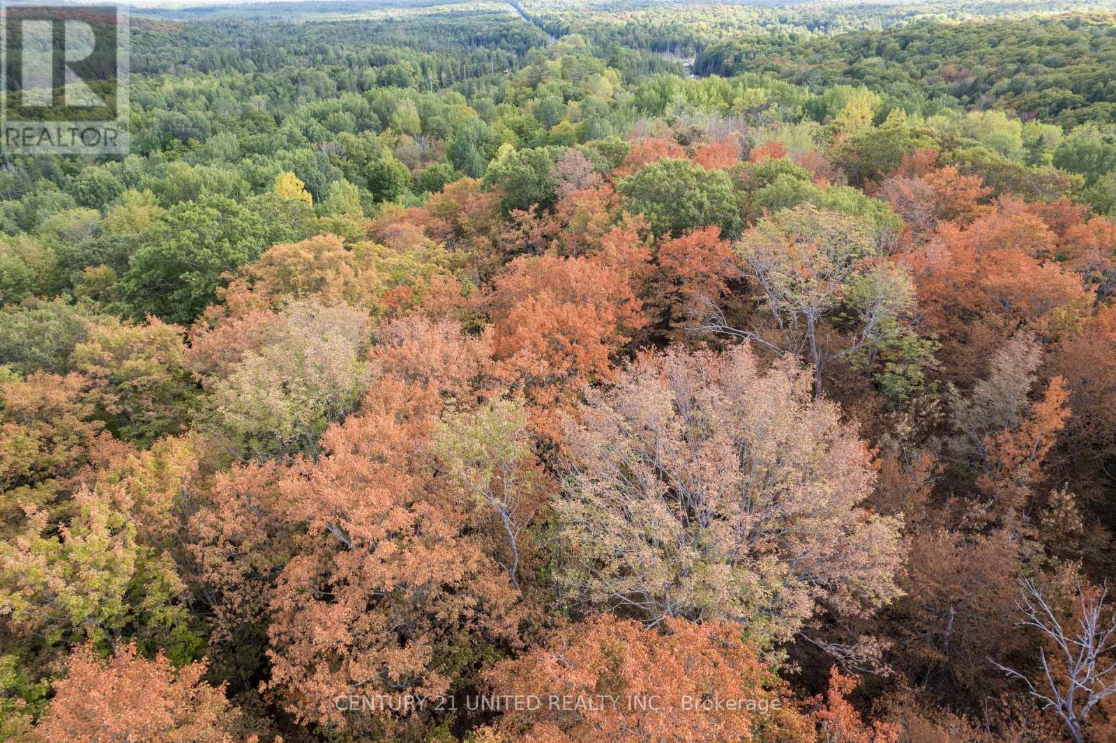 23 Rusaw Road, North Kawartha, Ontario  K0L 1A0 - Photo 2 - X12996342