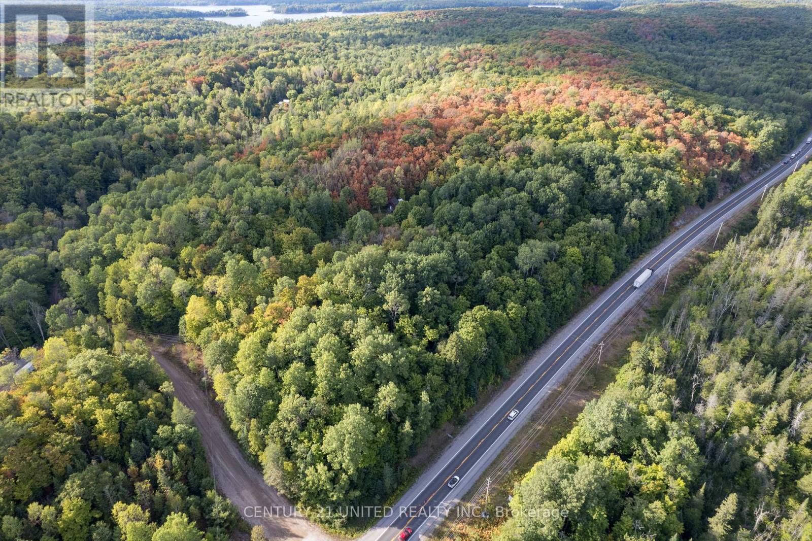 23 Rusaw Road, North Kawartha, Ontario  K0L 1A0 - Photo 4 - X12996342