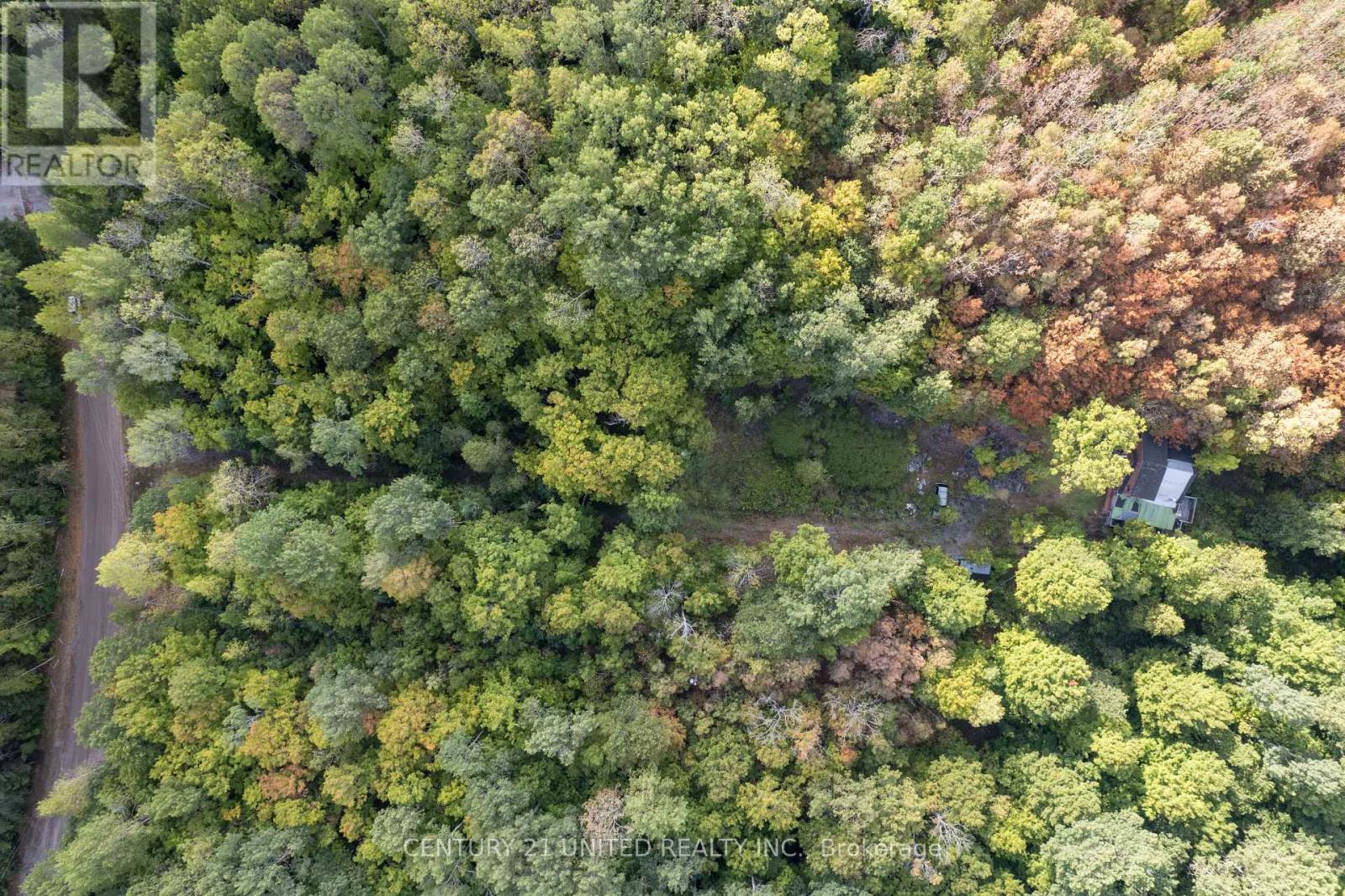 23 Rusaw Road, North Kawartha, Ontario  K0L 1A0 - Photo 5 - X12996342