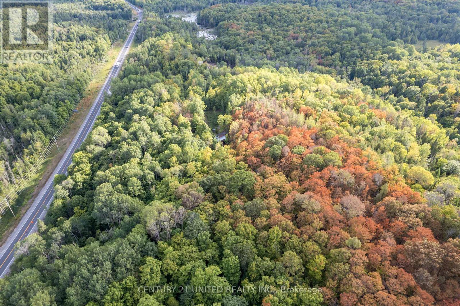 23 Rusaw Road, North Kawartha, Ontario  K0L 1A0 - Photo 6 - X12996342