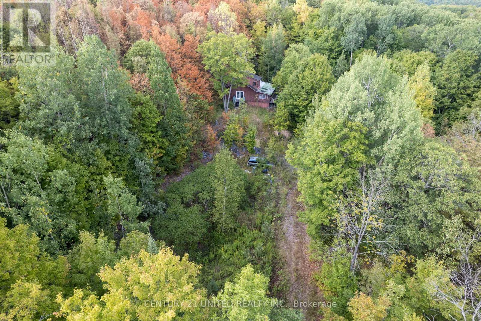 23 Rusaw Road, North Kawartha, Ontario  K0L 1A0 - Photo 9 - X12996342