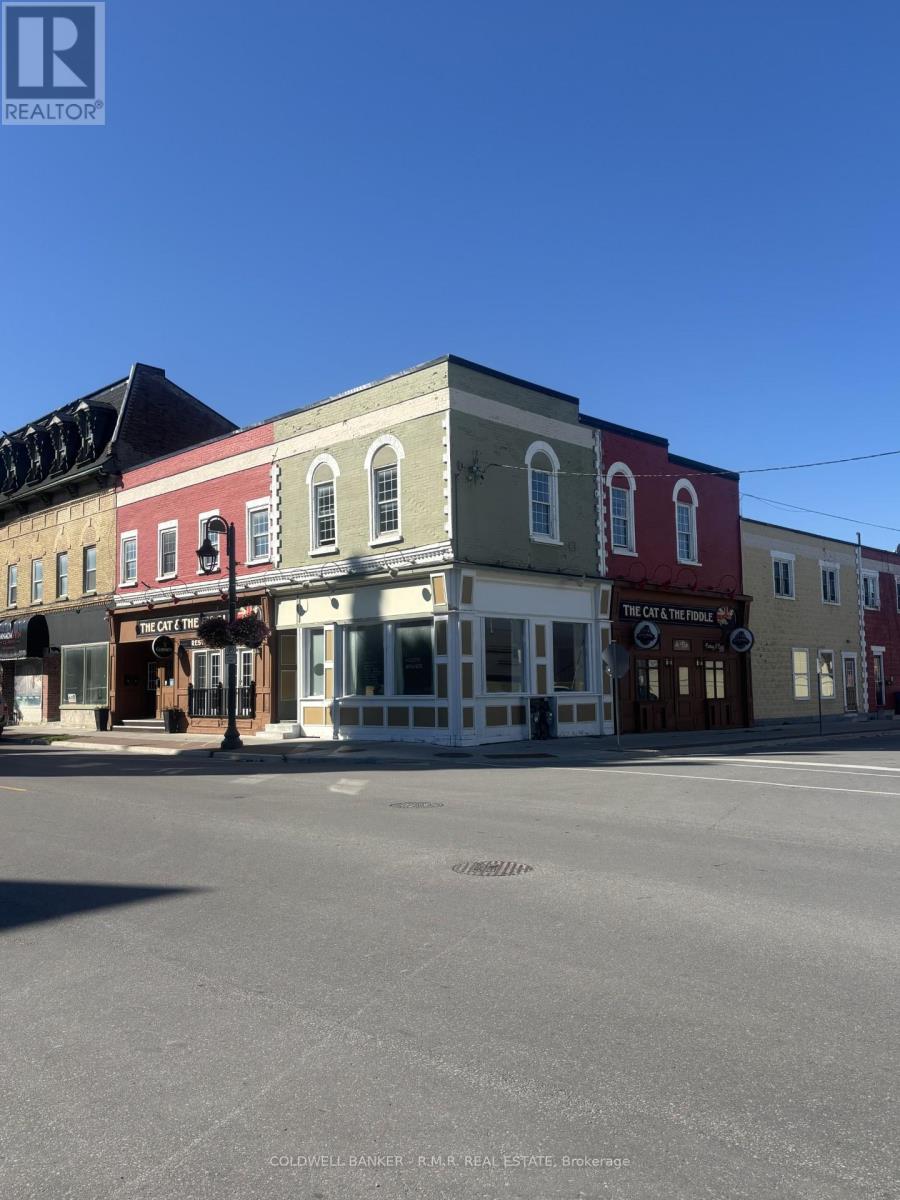 49 William Street N, Kawartha Lakes (Lindsay), Ontario  K9V 3Z9 - Photo 2 - X12996700