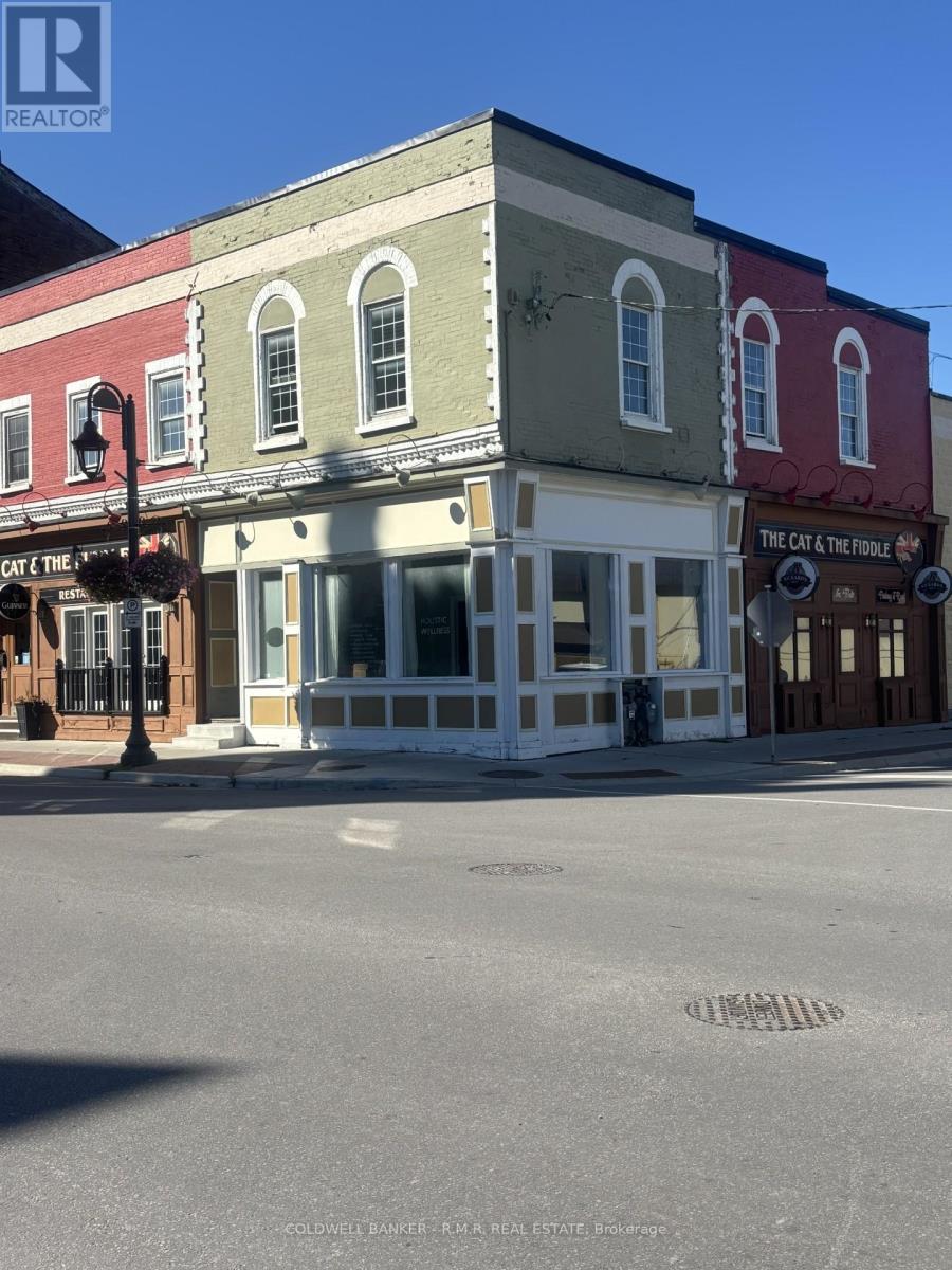 49 William Street N, Kawartha Lakes (Lindsay), Ontario  K9V 3Z9 - Photo 3 - X12996700