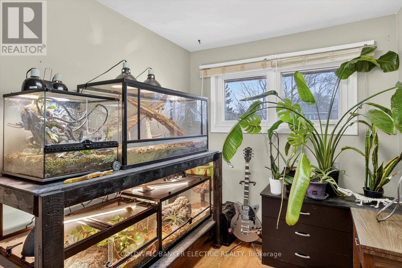 250 Collison Crescent, Peterborough (Ashburnham Ward 4), Ontario  K9J 1A8 - Photo 24 - X13001214