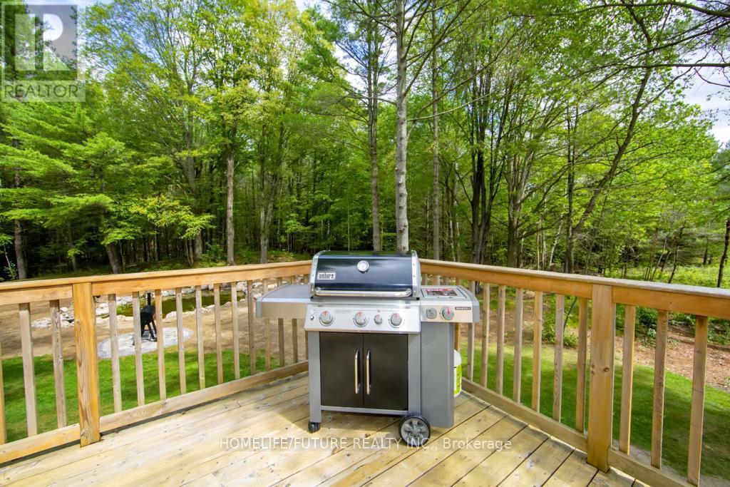 1559 North Belmont Concession, Havelock-Belmont-Methuen (Belmont-Methuen), Ontario  K0L 1Z0 - Photo 7 - X13003716