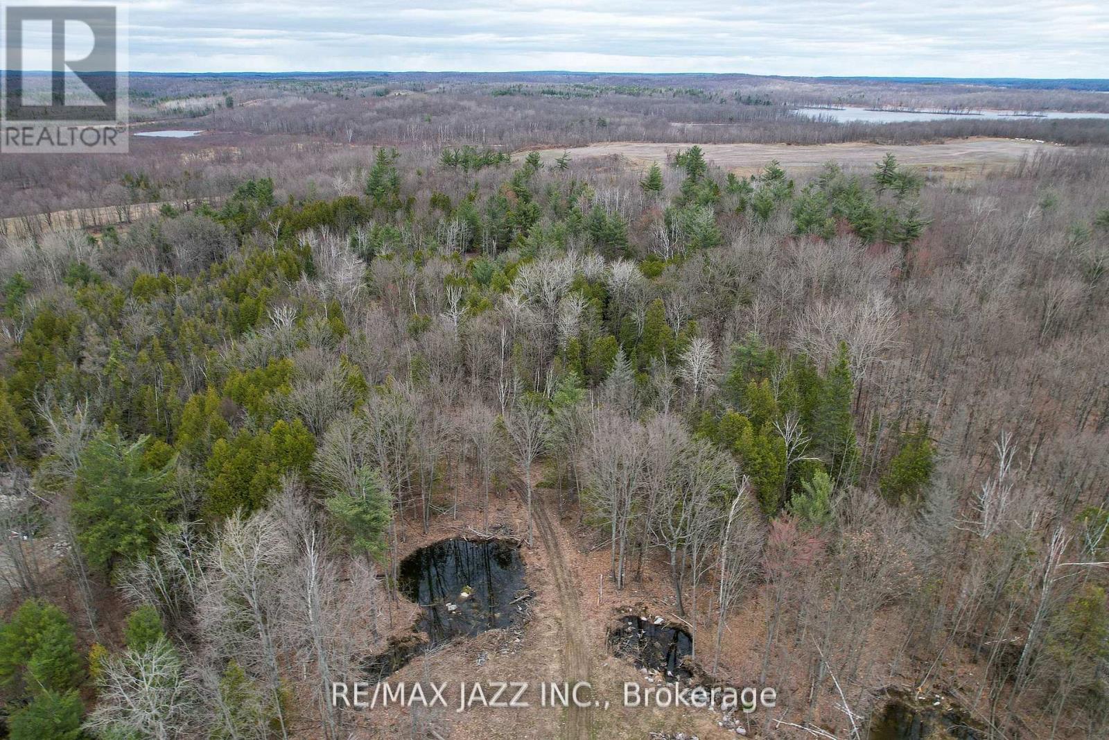 1167 Belmont Township 2 Line, Havelock-Belmont-Methuen (Belmont-Methuen), Ontario  K0L 1Z0 - Photo 31 - X13004232