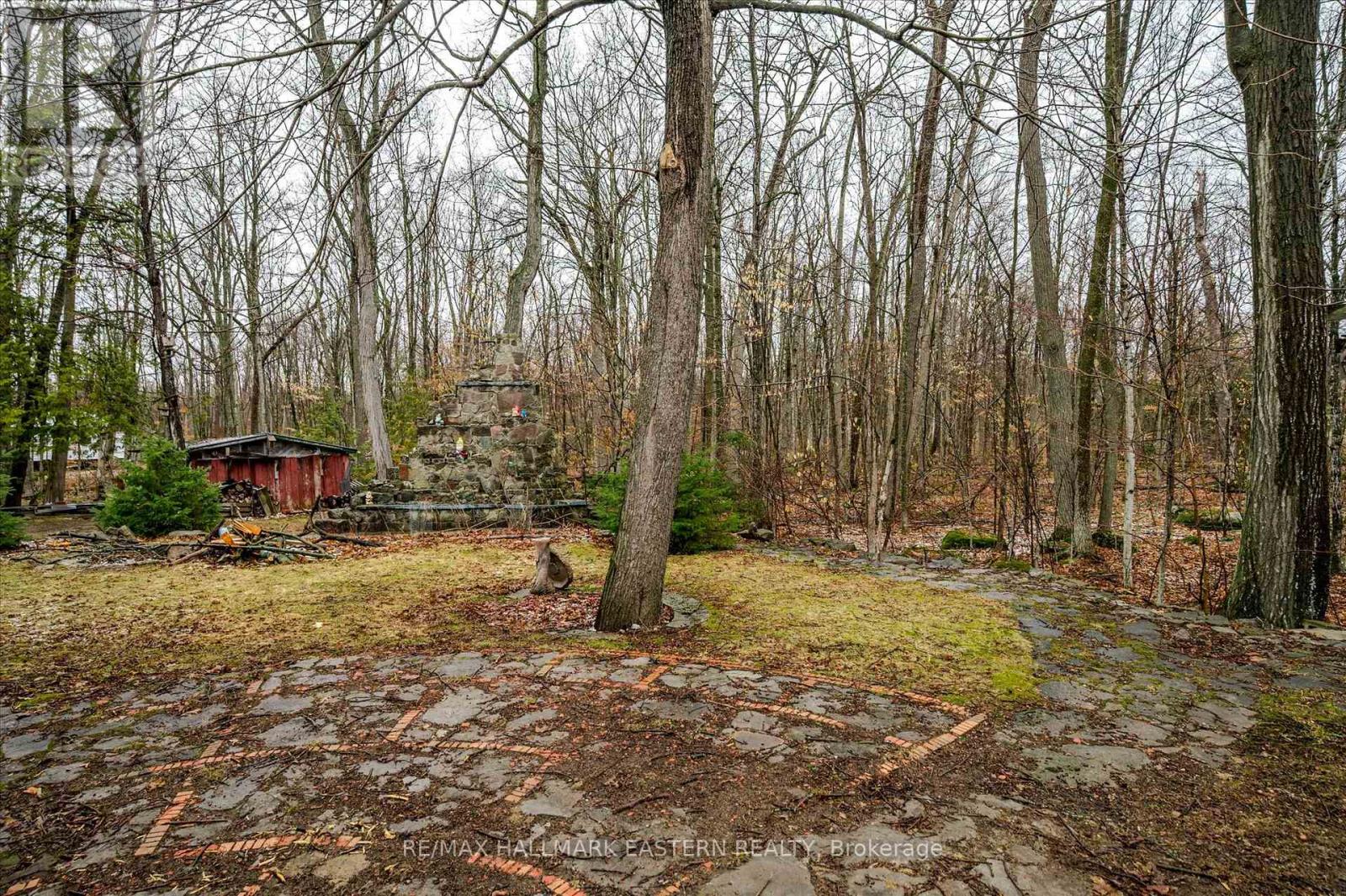 189 Cedarshores Drive, Trent Hills, Ontario  K0L 1Z0 - Photo 27 - X13009012