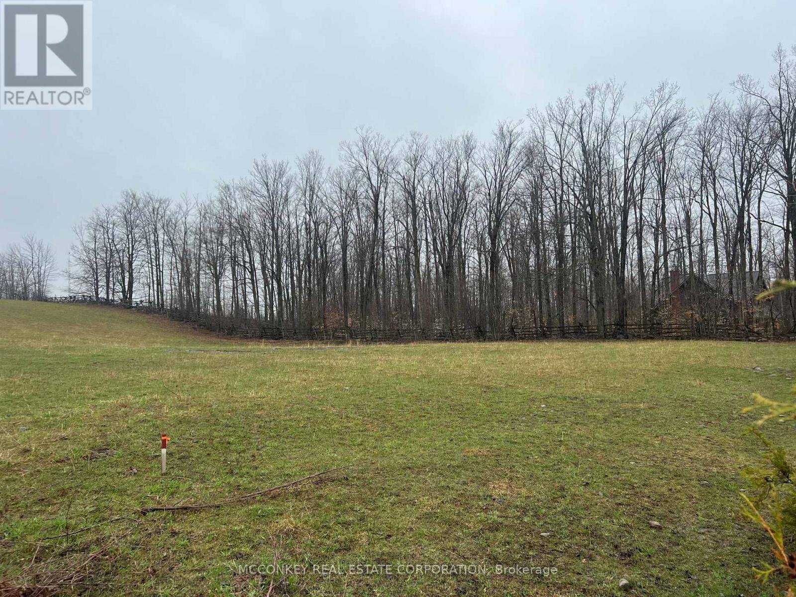 1020 Centre Road, Douro-Dummer, Ontario  K0L 2H0 - Photo 4 - X13011236