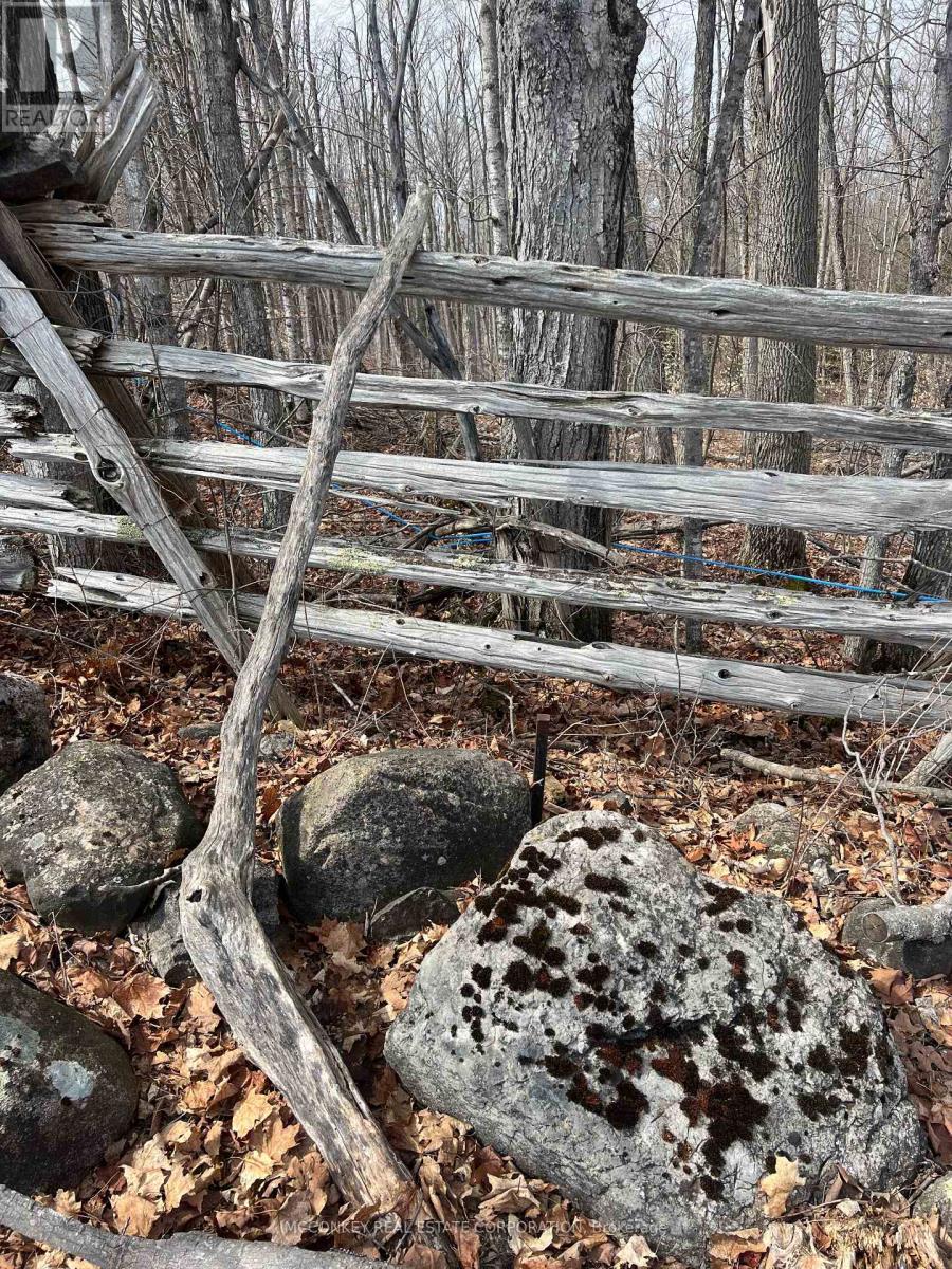 1020 Centre Road, Douro-Dummer, Ontario  K0L 2H0 - Photo 7 - X13011236