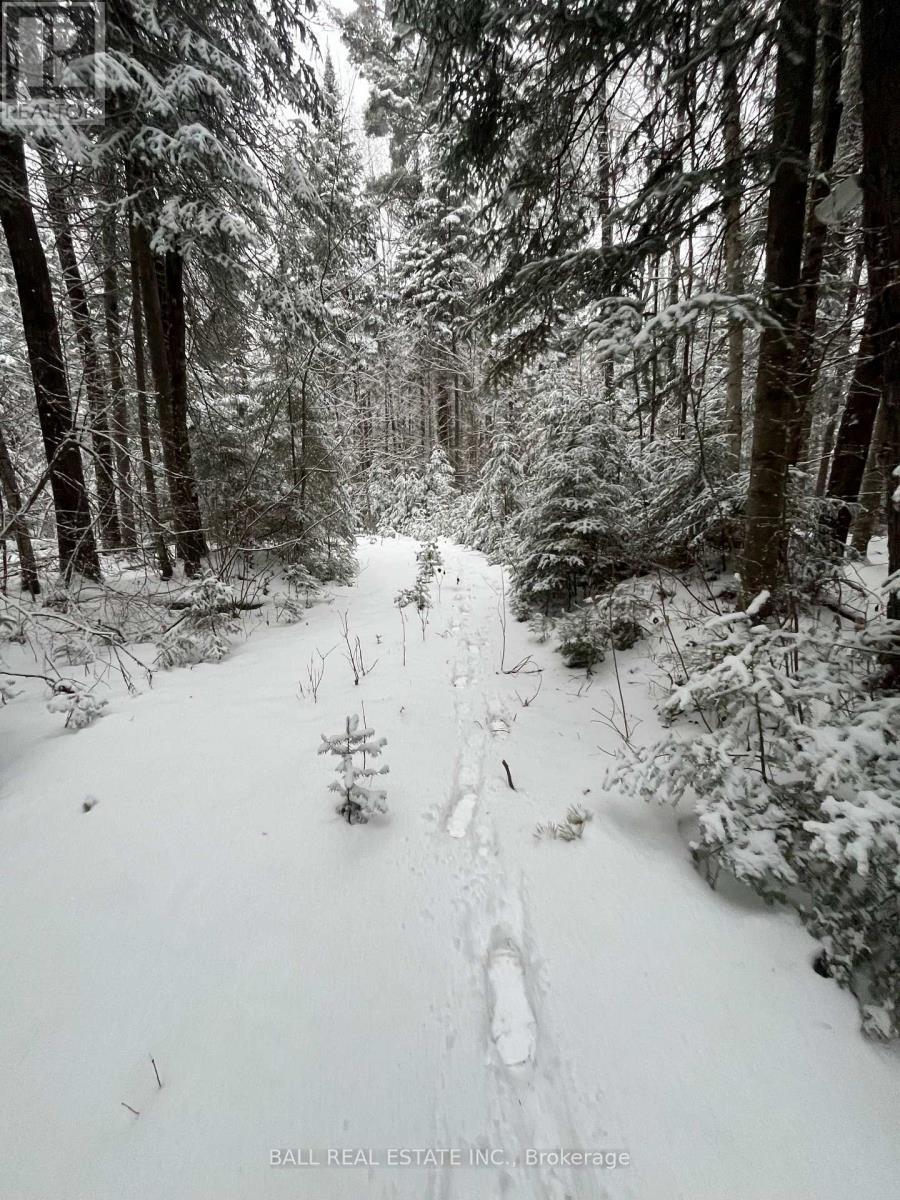 618c Boulter Road S, Hastings Highlands (Monteagle Ward), Ontario  K0L 2S0 - Photo 2 - X13014320