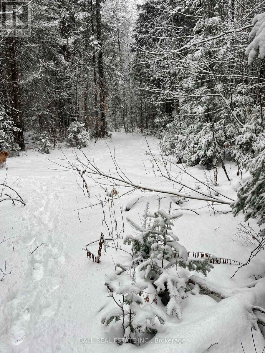 618c Boulter Road S, Hastings Highlands (Monteagle Ward), Ontario  K0L 2S0 - Photo 3 - X13014320