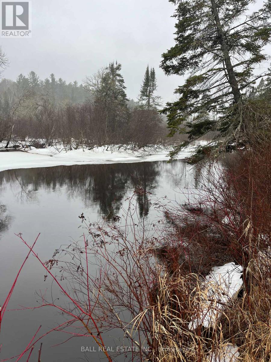 618c Boulter Road S, Hastings Highlands (Monteagle Ward), Ontario  K0L 2S0 - Photo 4 - X13014320