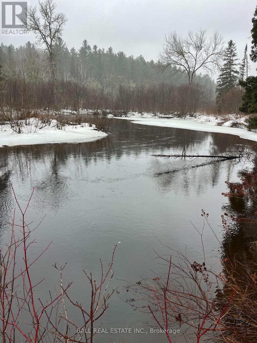 618c Boulter Road S, Hastings Highlands (Monteagle Ward), Ontario  K0L 2S0 - Photo 5 - X13014320