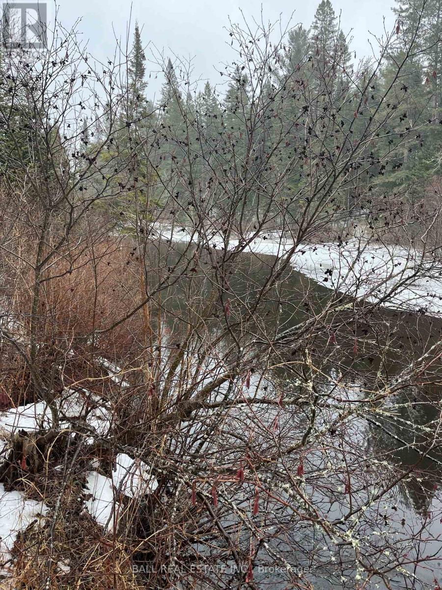 618c Boulter Road S, Hastings Highlands (Monteagle Ward), Ontario  K0L 2S0 - Photo 6 - X13014320