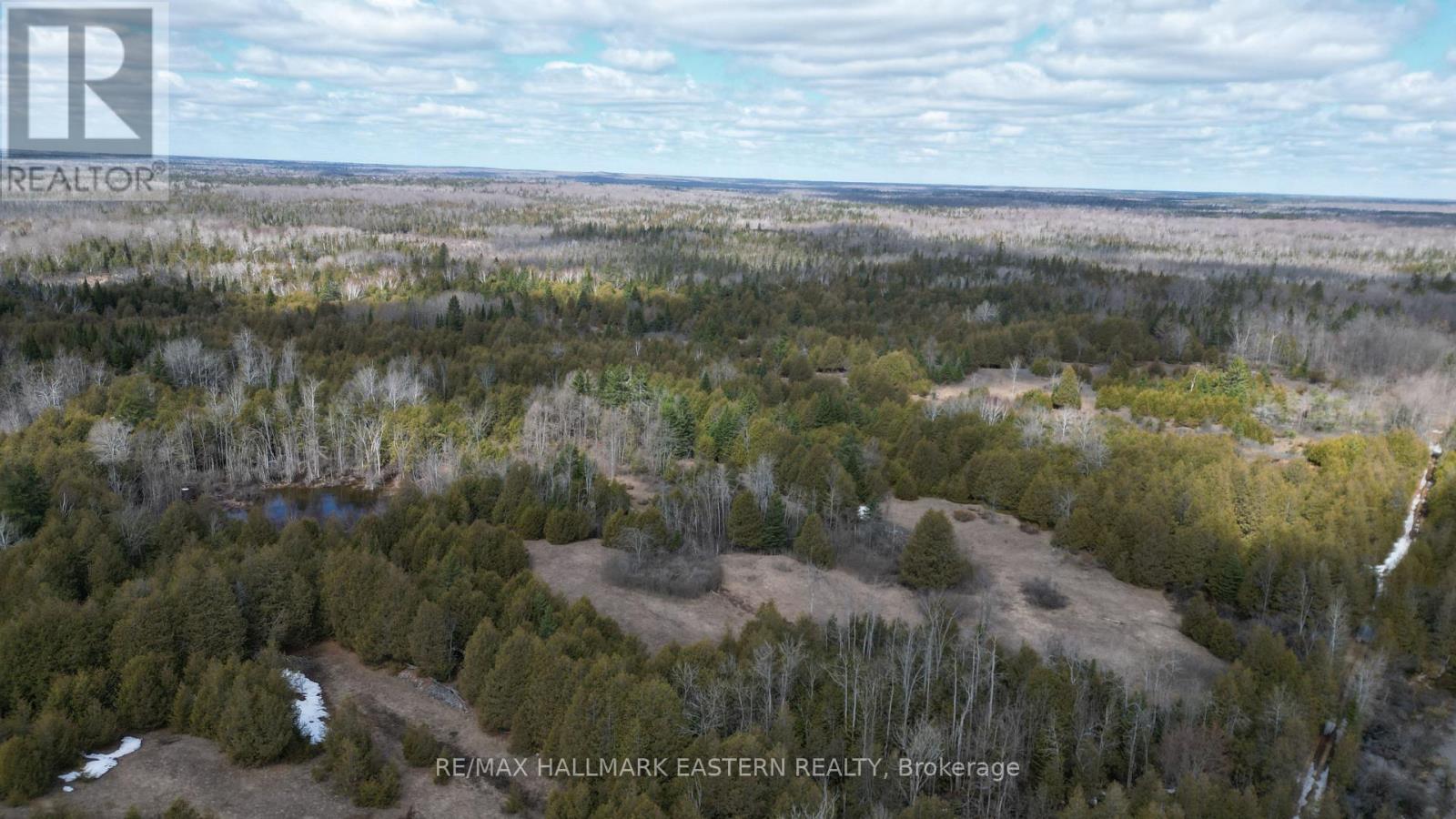 509 12th Line Dummer Road, Douro-Dummer, Ontario  K0L 2V0 - Photo 4 - X13018116