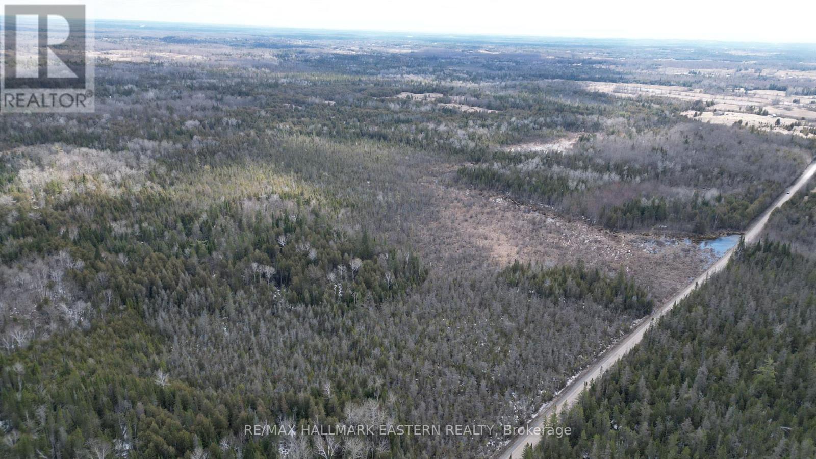 509 12th Line Dummer Road, Douro-Dummer, Ontario  K0L 2V0 - Photo 6 - X13018116