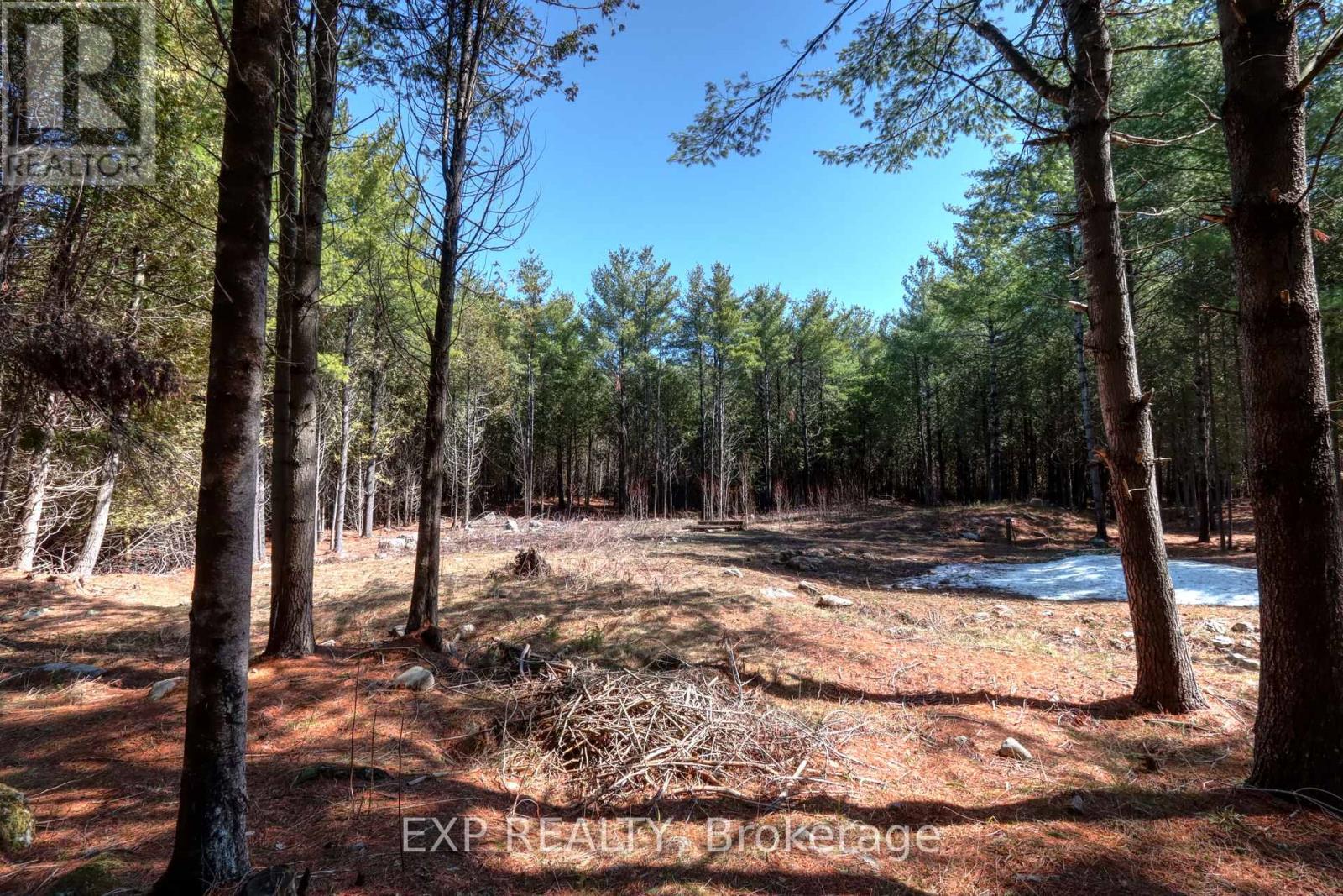 593 County 40 Road, Douro-Dummer, Ontario  K0L 2V0 - Photo 2 - X13018162