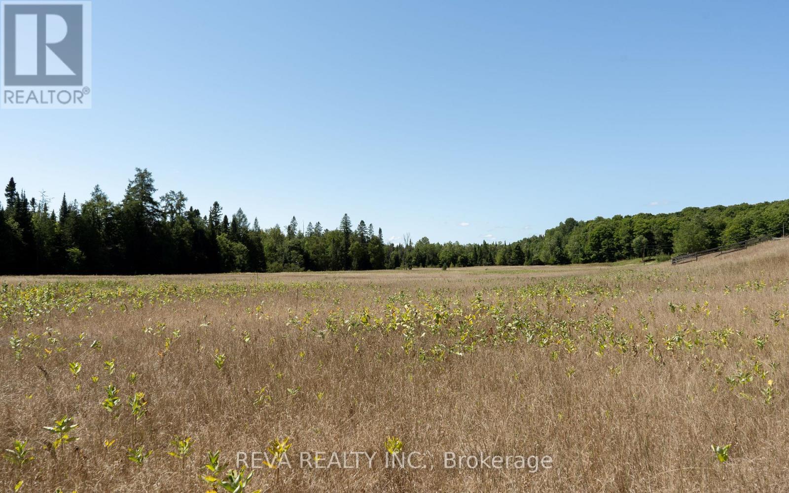 122 Albert Road, Wollaston, Ontario  K0L 1P0 - Photo 6 - X13018812