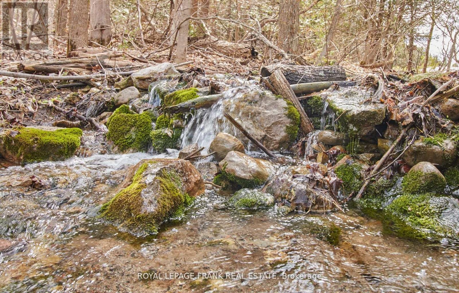 2269 Mccracken's Landing Road, Douro-Dummer, Ontario  K0L 2H0 - Photo 40 - X13019070