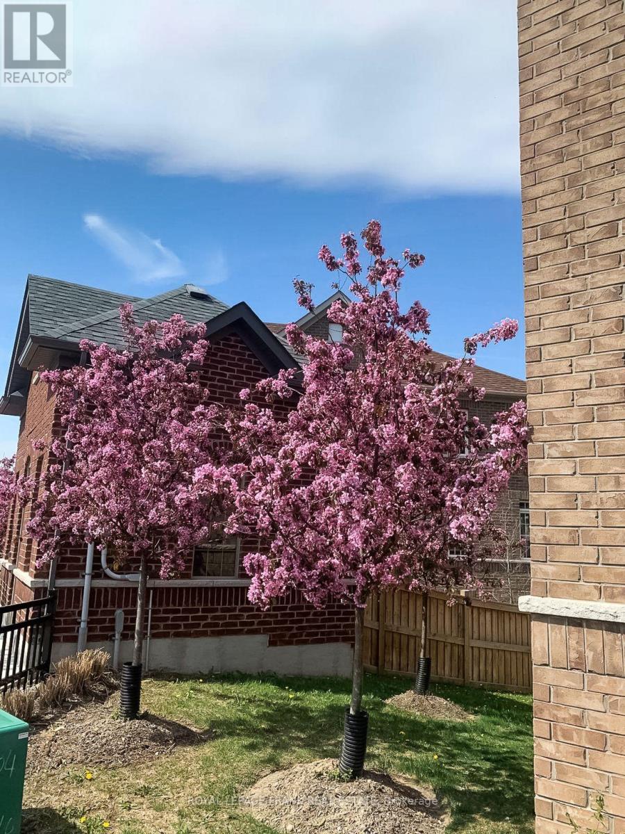 6 Aldridge Lane, Clarington (Newcastle), Ontario  L1B 1G9 - Photo 50 - E13021550