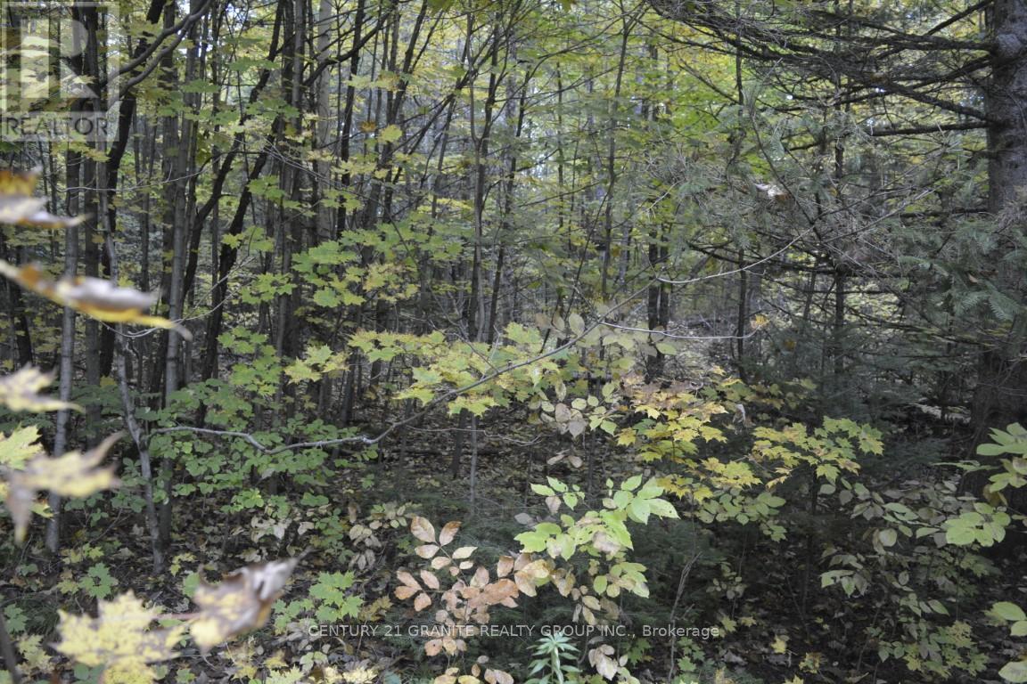 Ptlt 61 Old Hastings Road, Wollaston, Ontario  K0L 1P0 - Photo 4 - X13021570