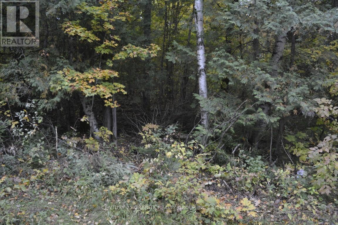 Ptlt 61 Old Hastings Road, Wollaston, Ontario  K0L 1P0 - Photo 8 - X13021570