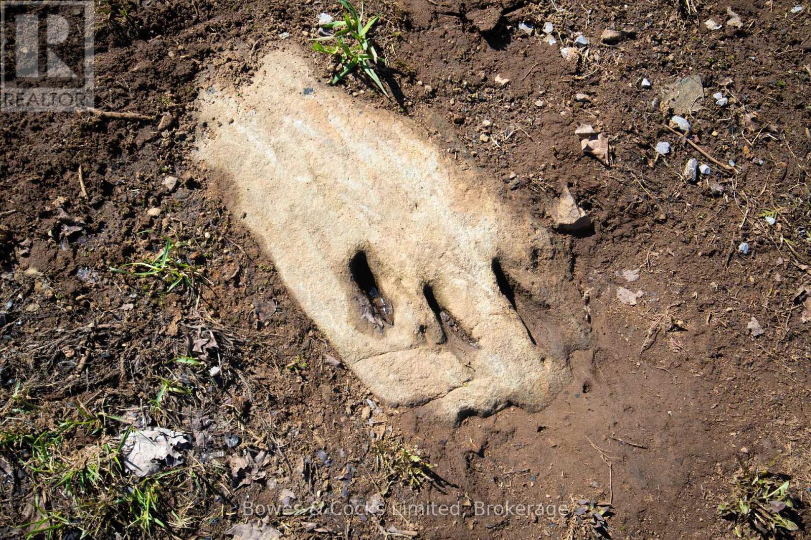 2108 Old Hastings Road, Wollaston, Ontario  K0L 1P0 - Photo 32 - X13021996