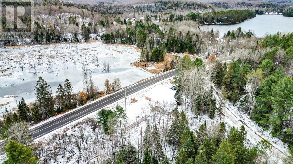 1725 Loop Road, Highlands East (Monmouth), Ontario  K0L 3C0 - Photo 17 - X13025462