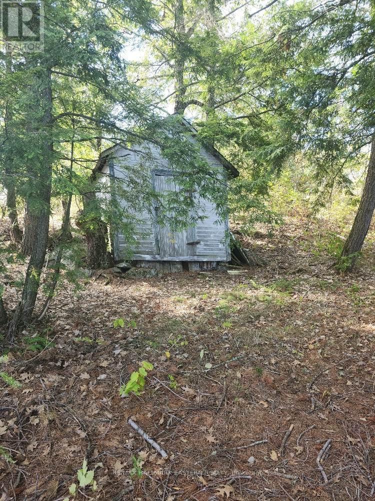 1420 Island 76, Trent Lakes, Ontario  K0L 2H0 - Photo 25 - X13027334