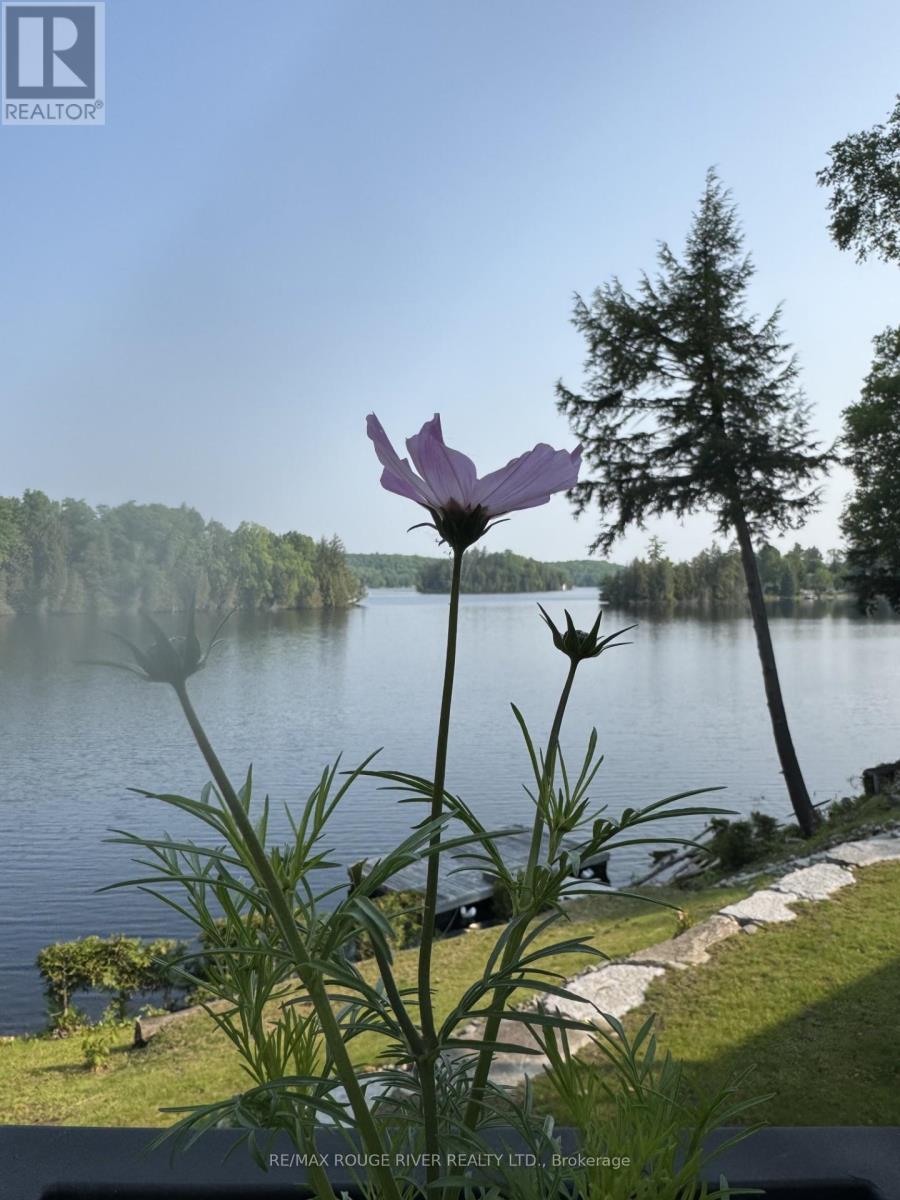 1087 Lagoon Road, Highlands East (Cardiff Ward), Ontario  K0L 1C0 - Photo 10 - X13029802