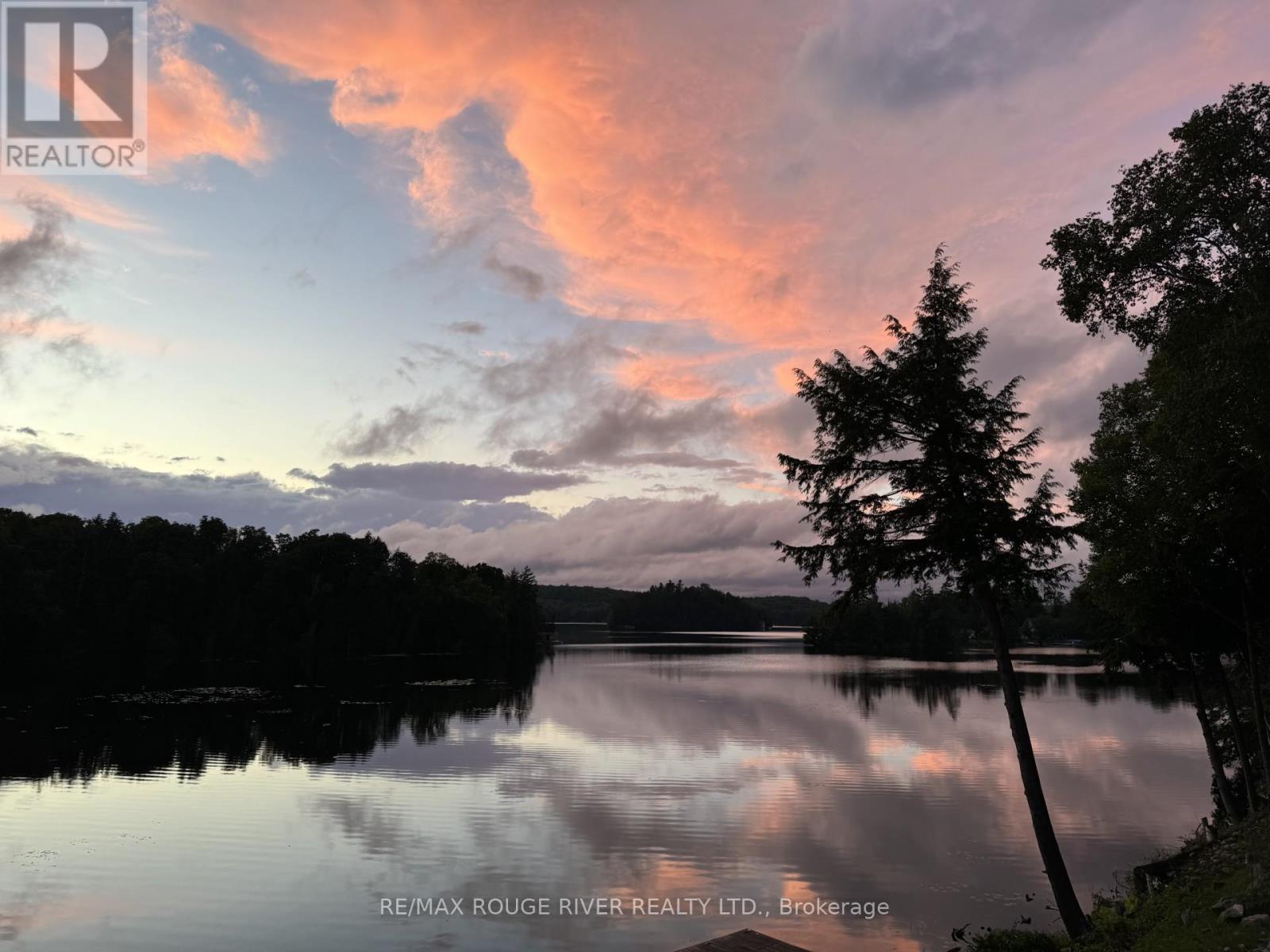 1087 Lagoon Road, Highlands East (Cardiff Ward), Ontario  K0L 1C0 - Photo 8 - X13029802